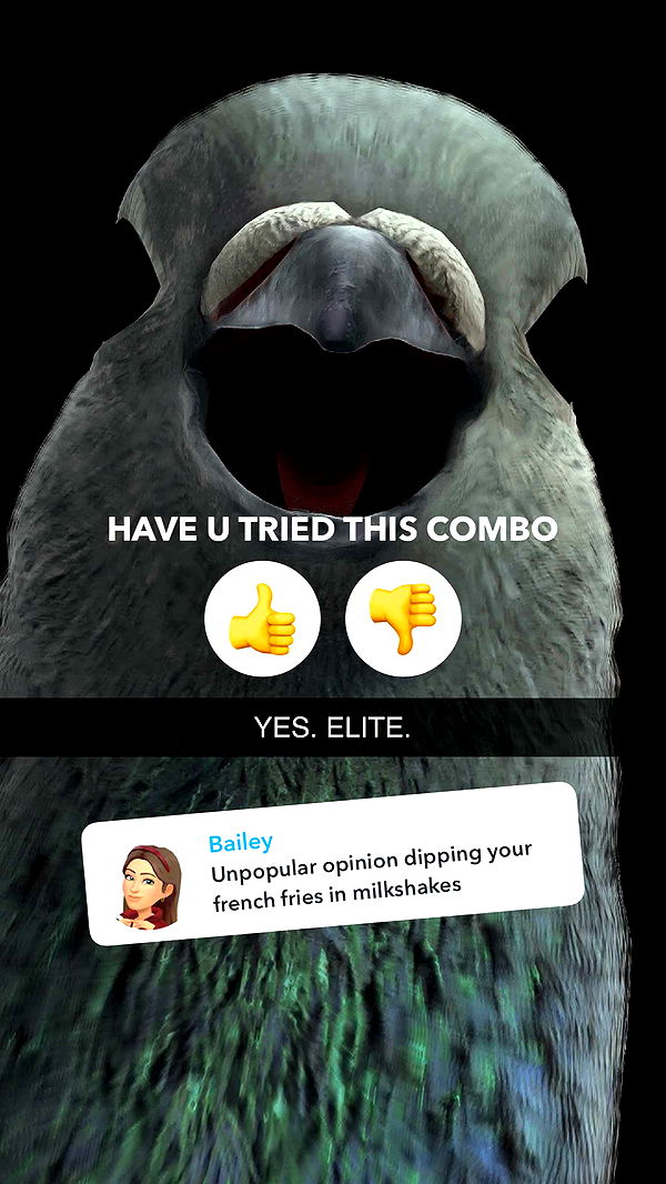 kalogeraseliana image ~ Altpins