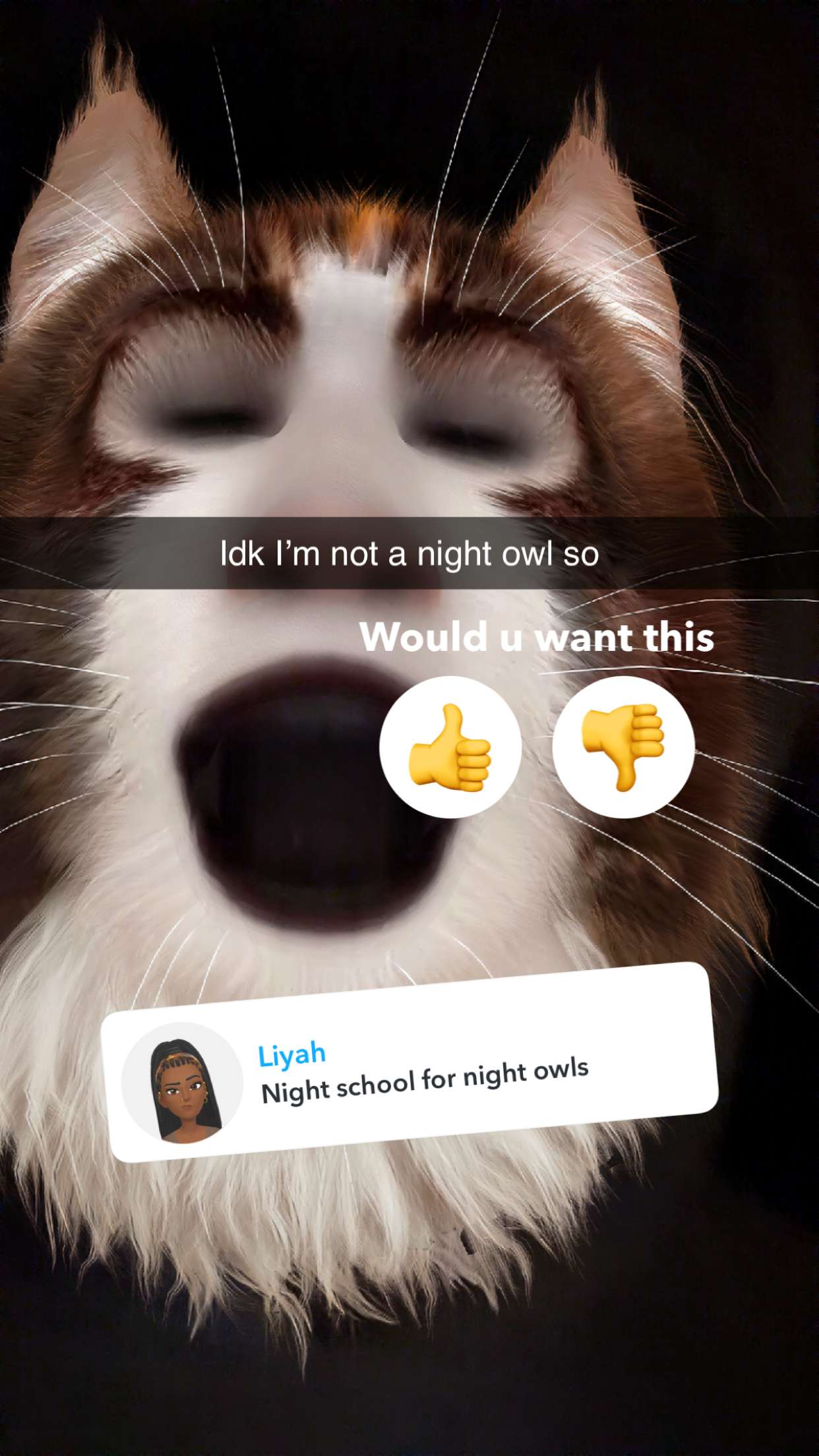 kalogeraseliana snapchat image archive image