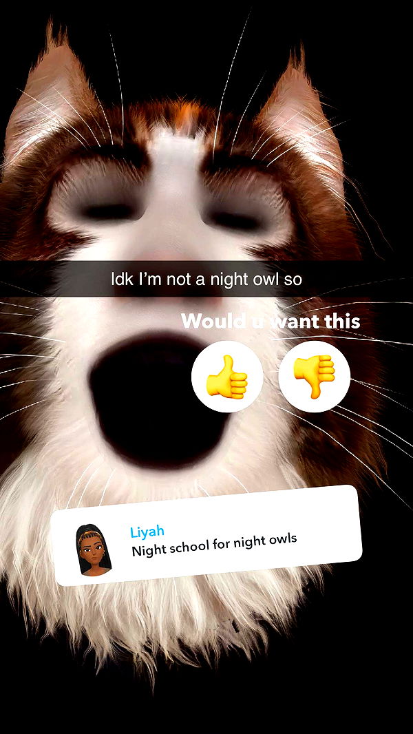 kalogeraseliana image ~ Altpins