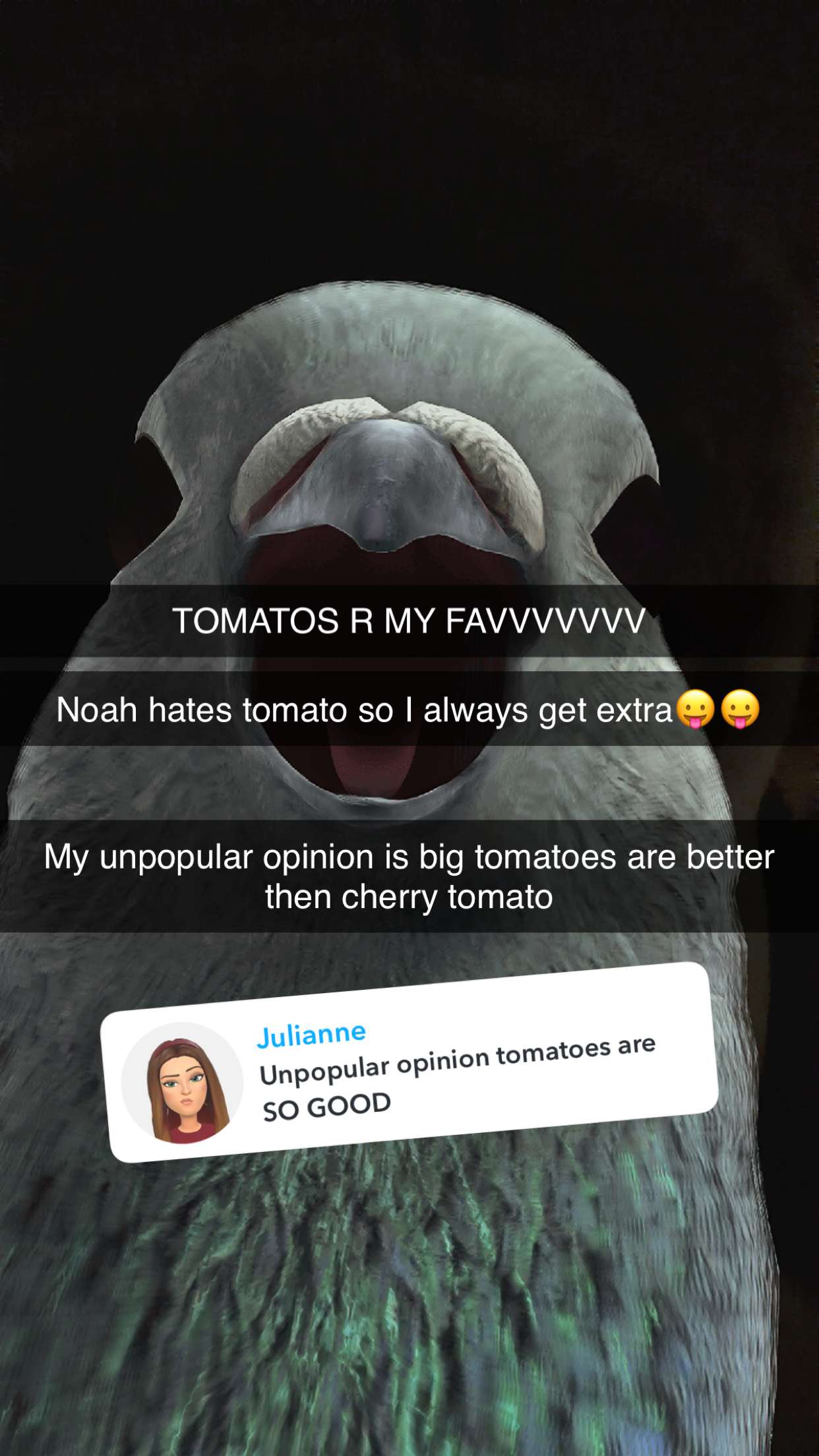 kalogeraseliana snapchat image archive image