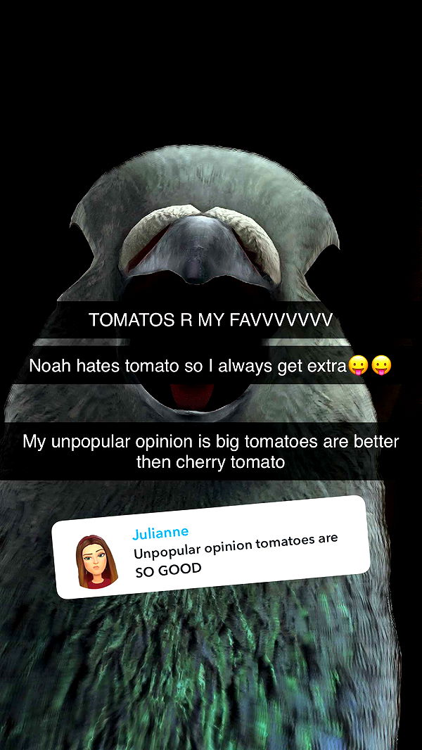 kalogeraseliana image ~ Altpins