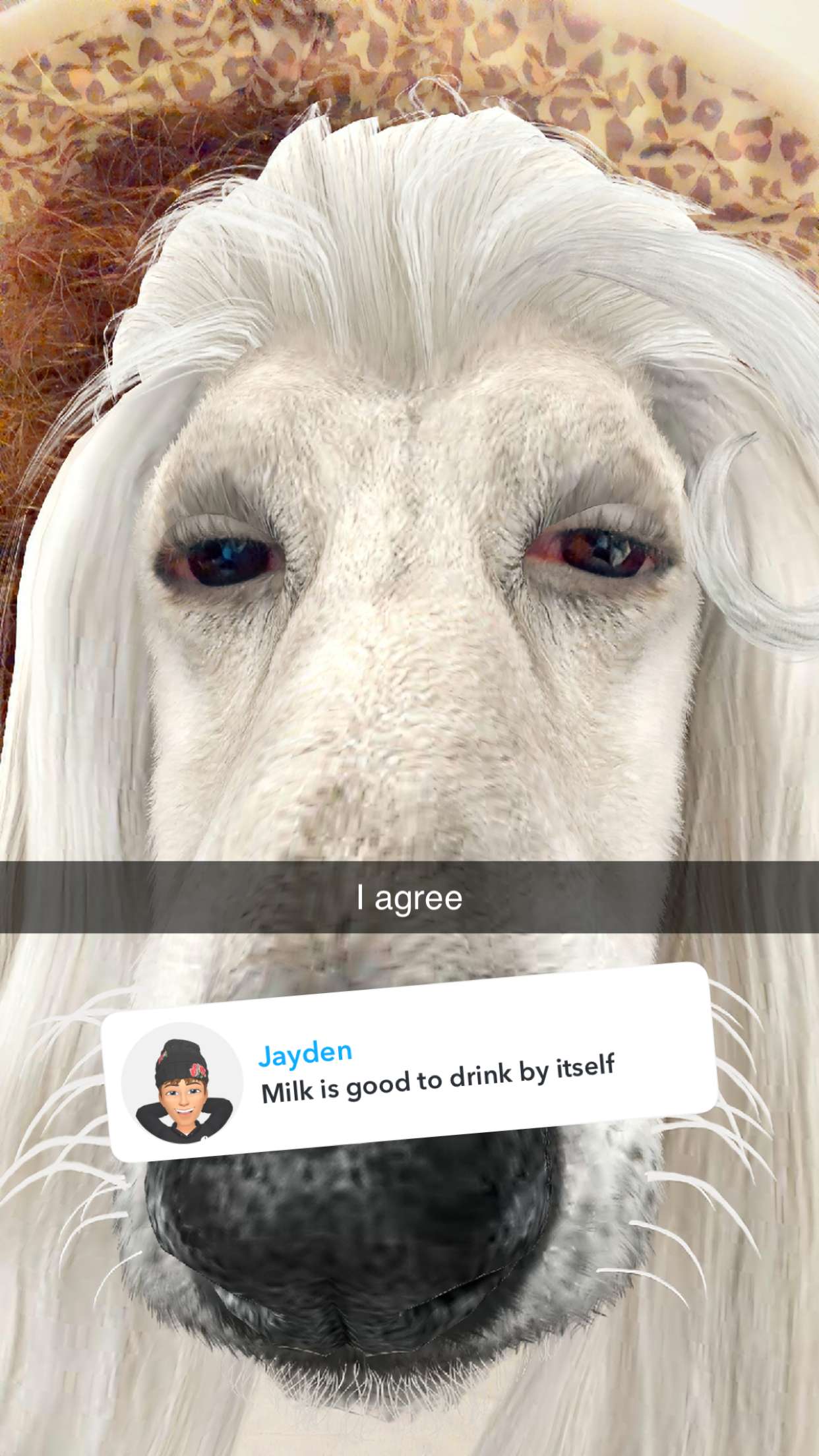 kalogeraseliana snapchat image archive image