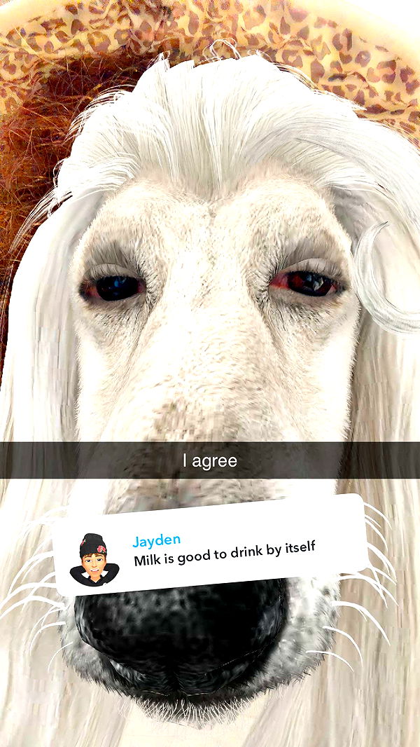 kalogeraseliana image ~ Altpins