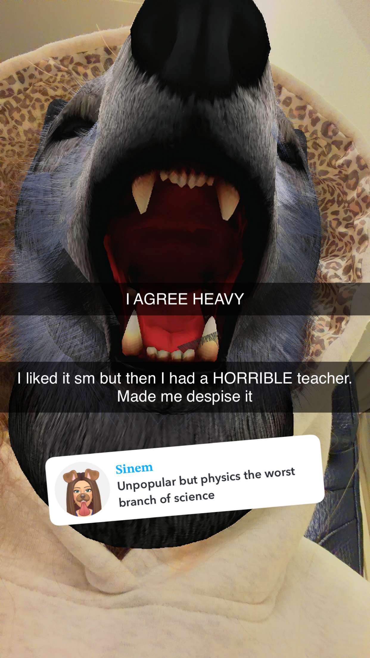 kalogeraseliana snapchat image archive image