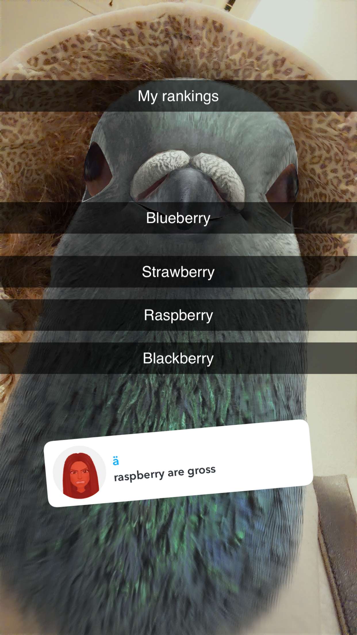 kalogeraseliana snapchat image archive image