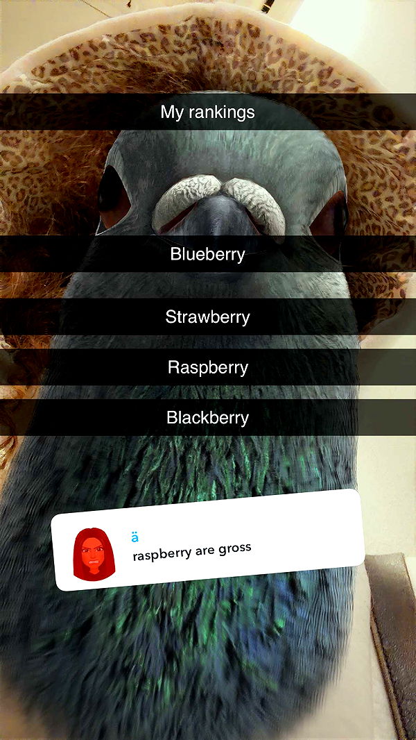 kalogeraseliana image ~ Altpins