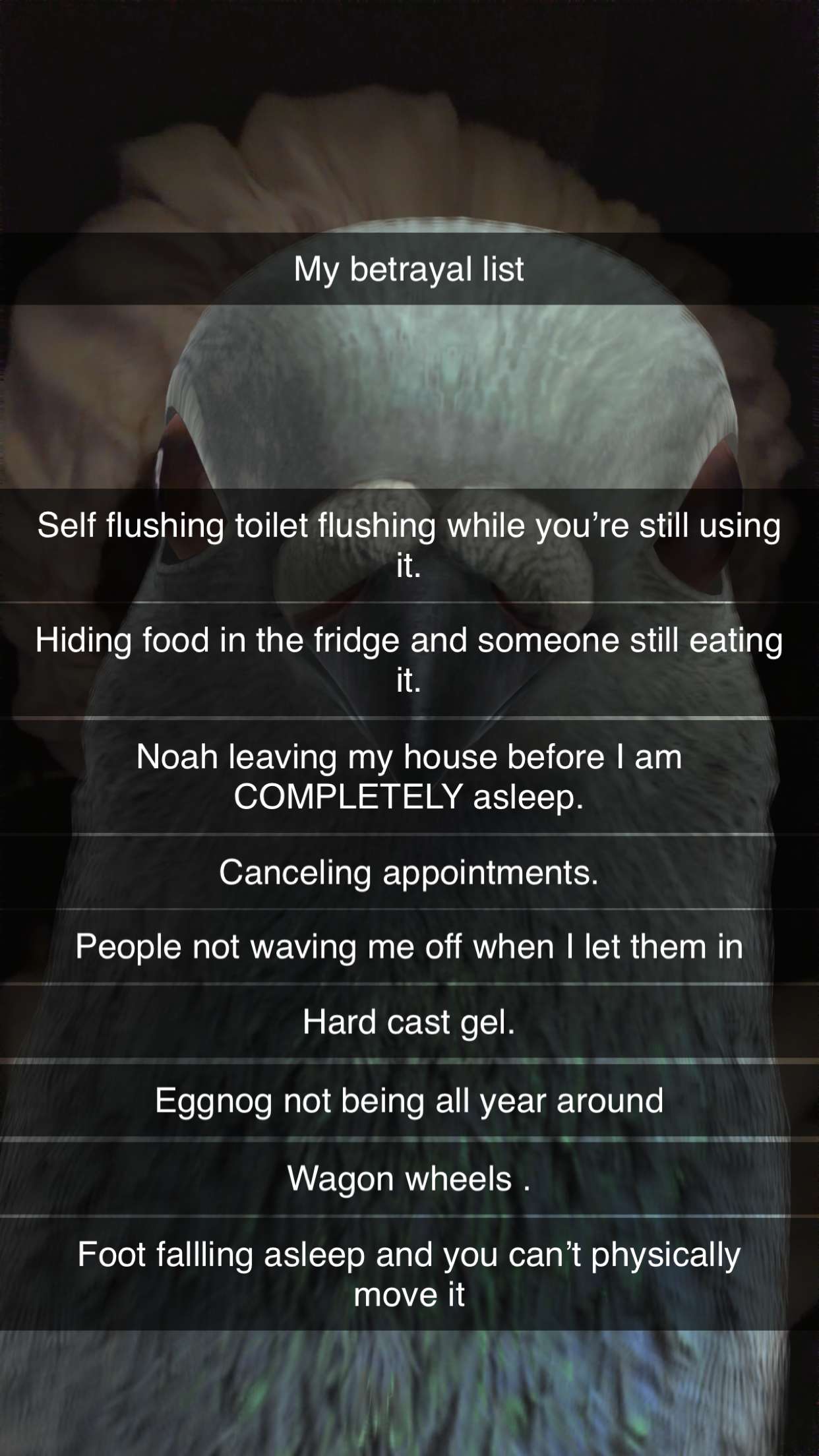 kalogeraseliana snapchat image archive image