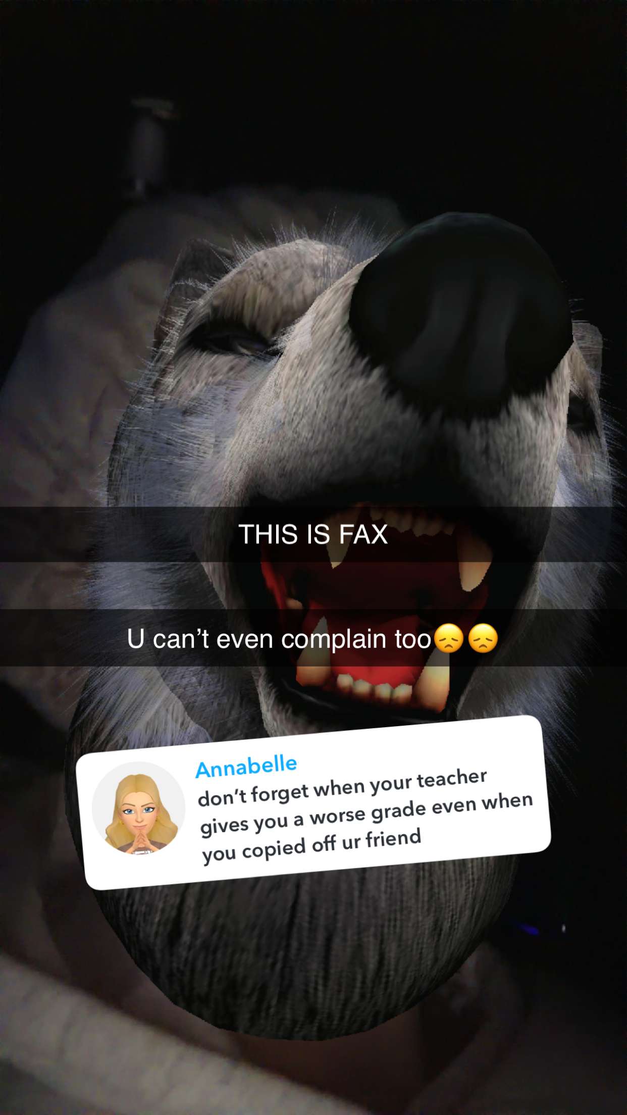 kalogeraseliana snapchat image archive image