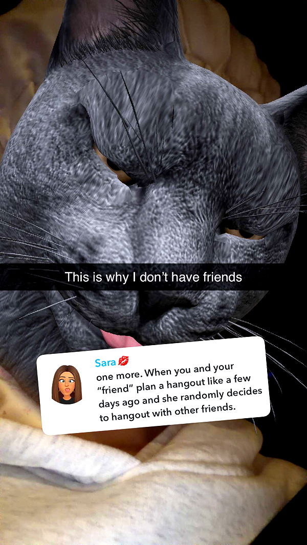 kalogeraseliana image ~ Altpins