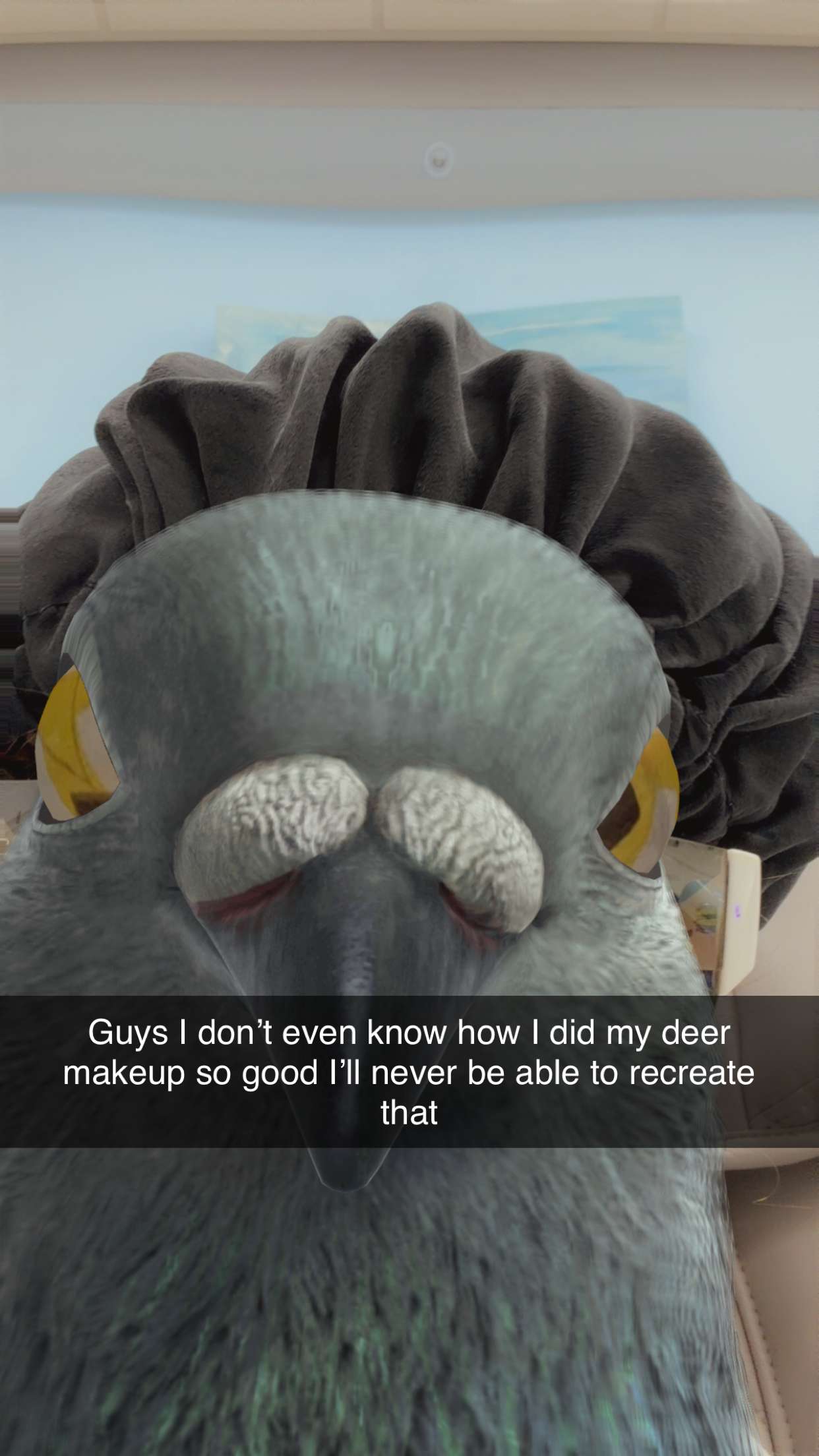 kalogeraseliana snapchat image archive image