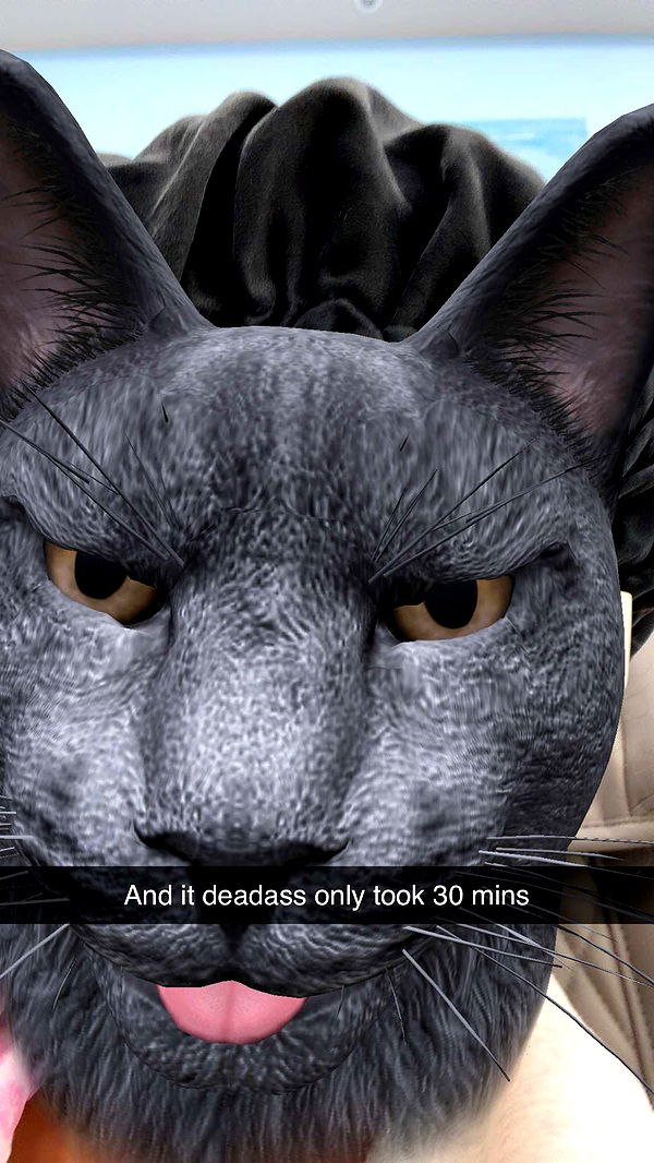 kalogeraseliana image ~ Altpins