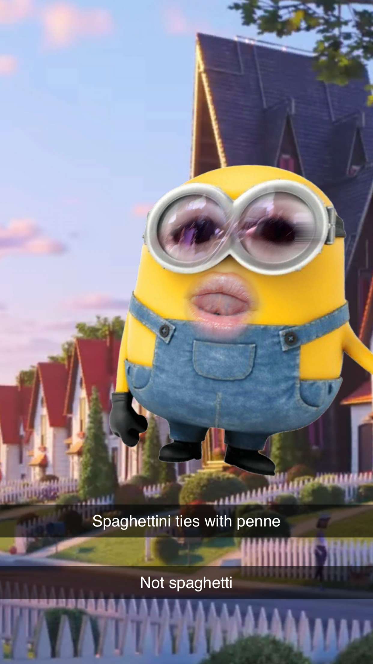 kalogeraseliana snapchat image archive image