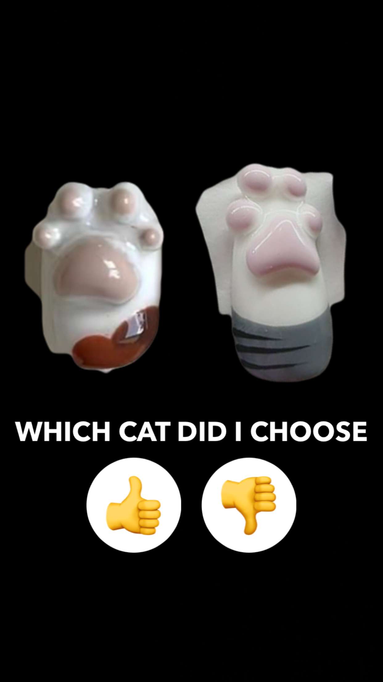 kalogeraseliana snapchat image archive image