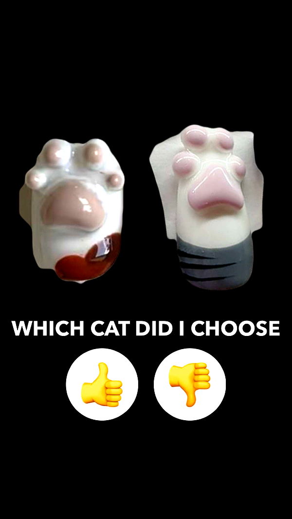 kalogeraseliana image ~ Altpins