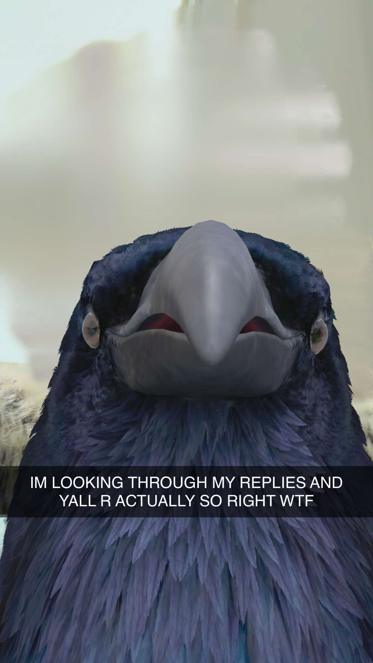 kalogeraseliana snapchat image archive image