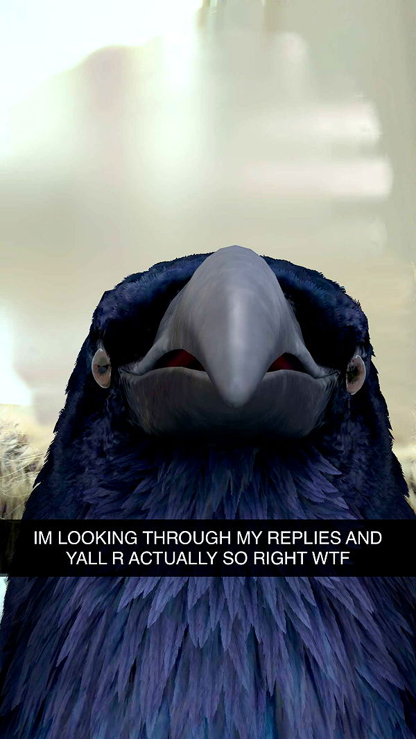 kalogeraseliana image ~ Altpins