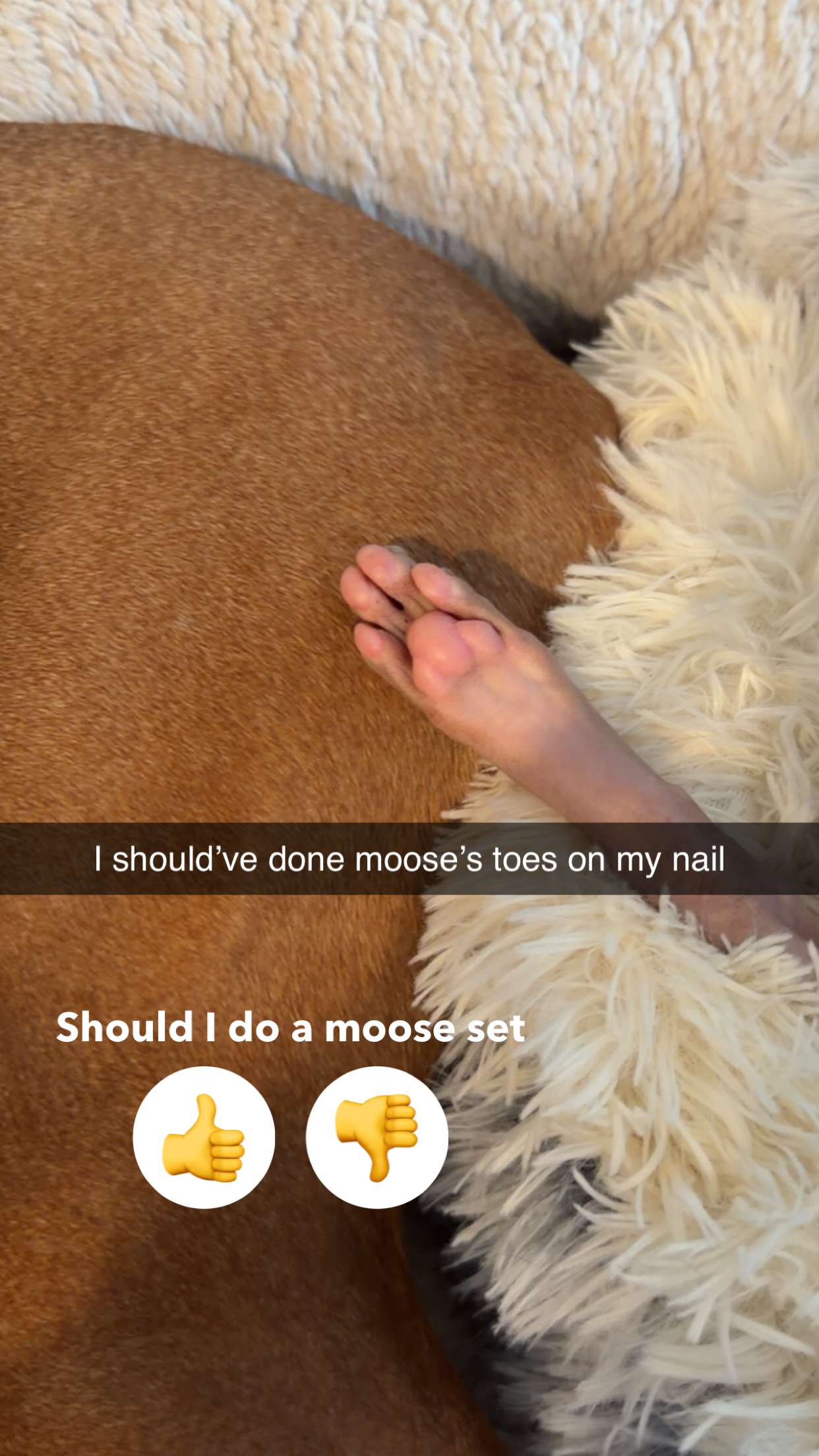 kalogeraseliana snapchat image archive image