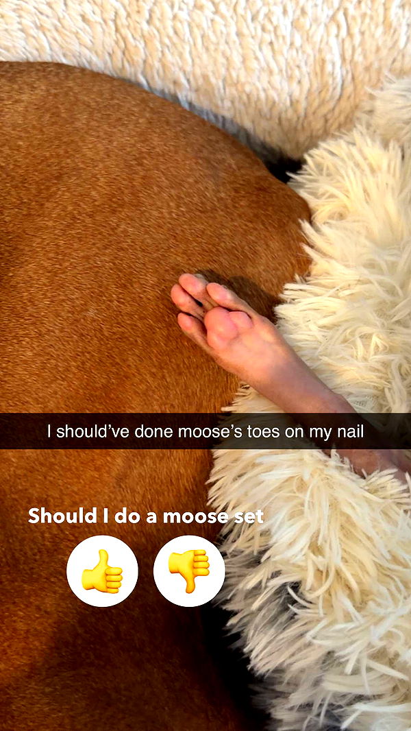 kalogeraseliana image ~ Altpins