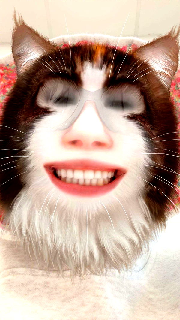 kalogeraseliana image ~ Altpins