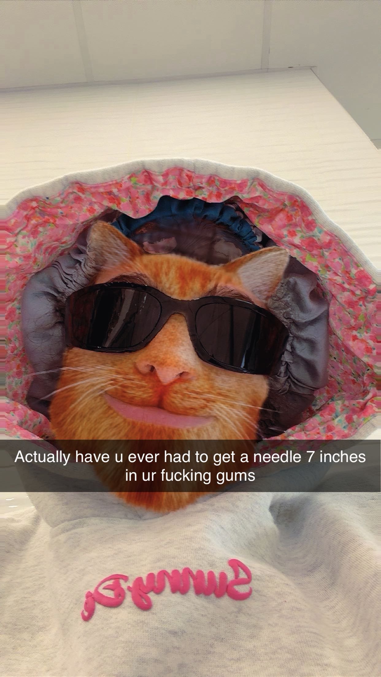 kalogeraseliana snapchat image archive image