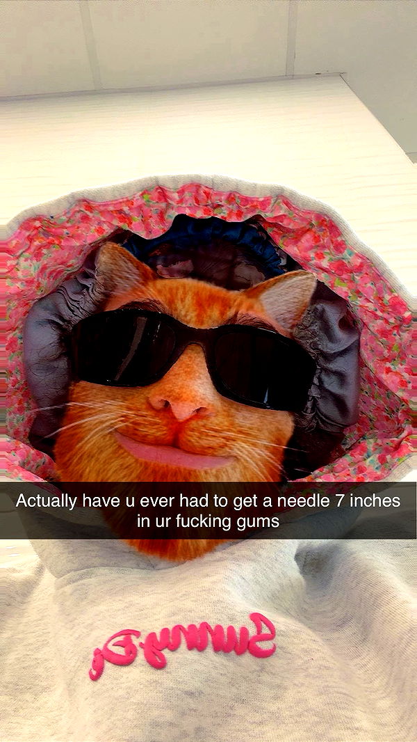 kalogeraseliana image ~ Altpins