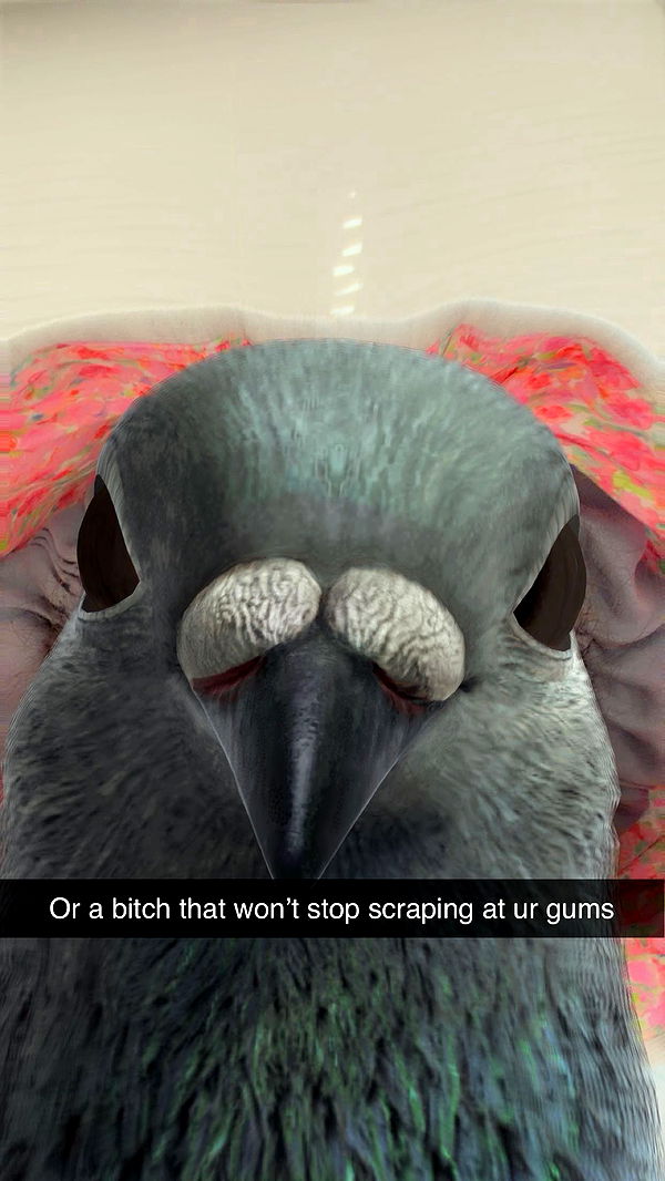 kalogeraseliana image ~ Altpins