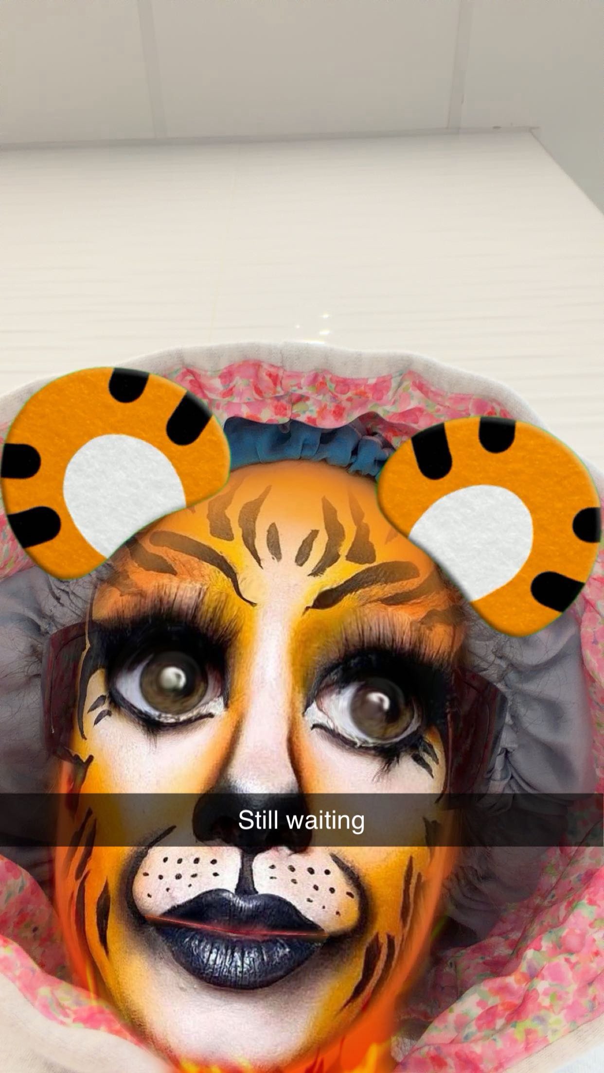 kalogeraseliana snapchat image archive image