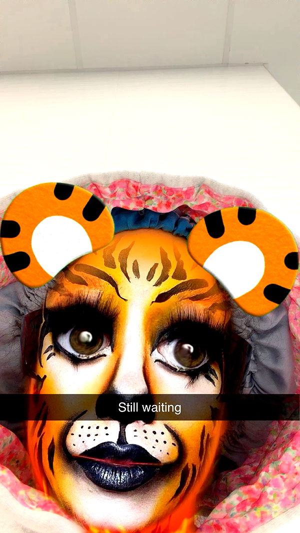 kalogeraseliana image ~ Altpins