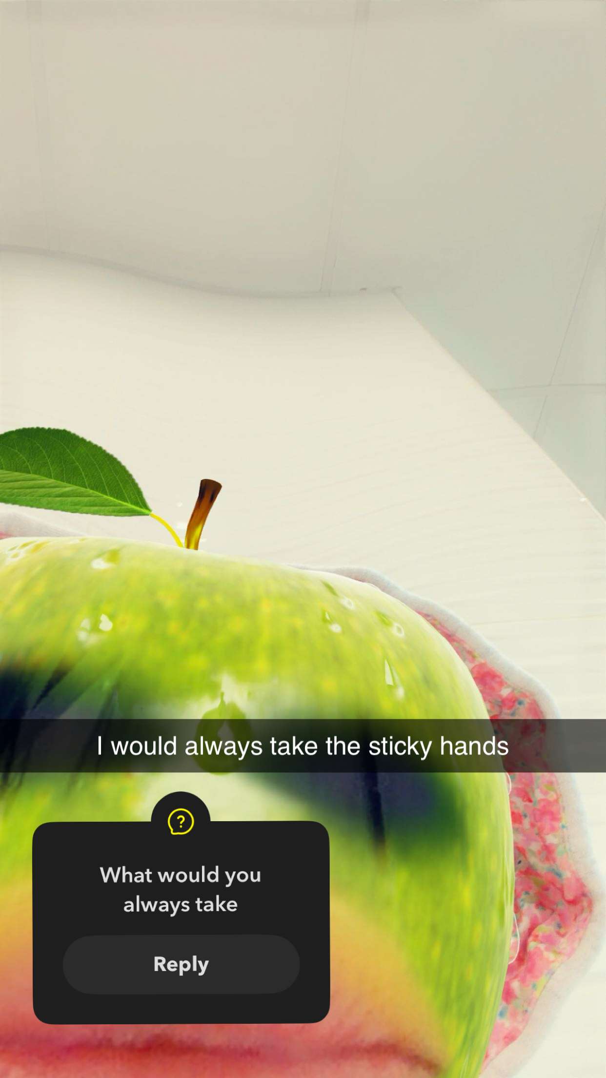 kalogeraseliana snapchat image archive image