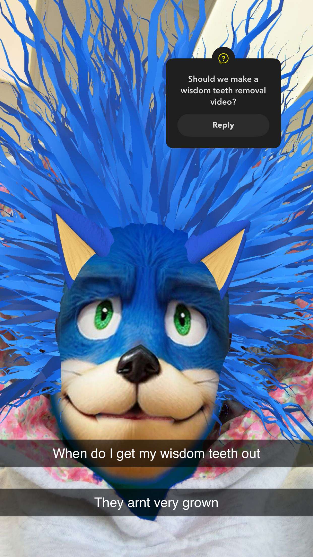 kalogeraseliana snapchat image archive image