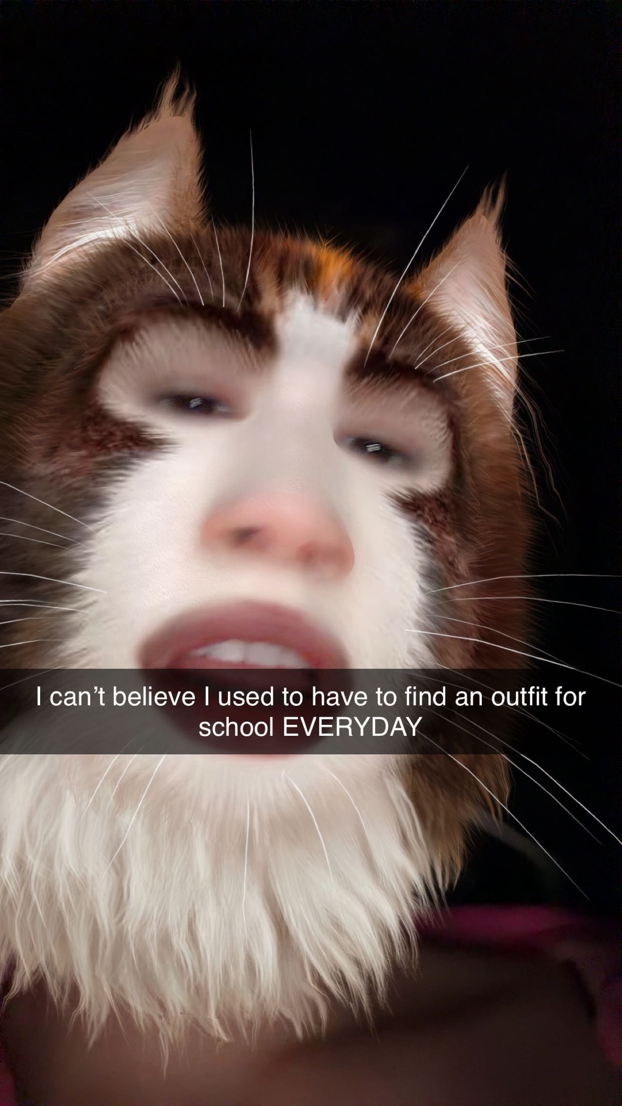 kalogeraseliana snapchat image archive image