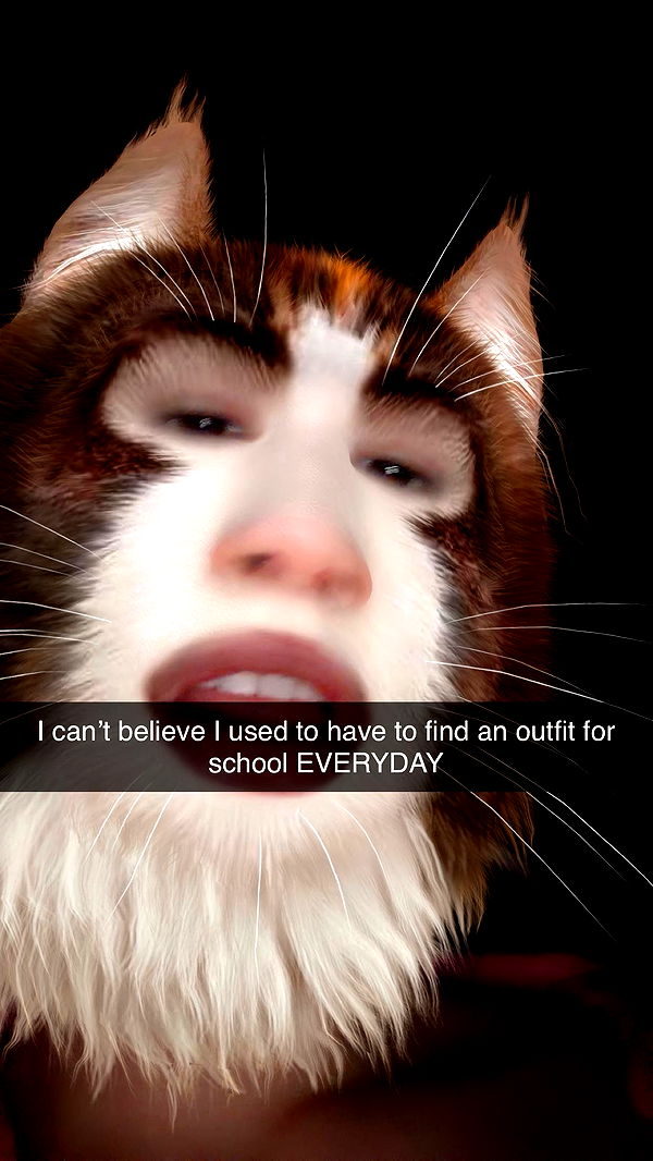 kalogeraseliana image ~ Altpins