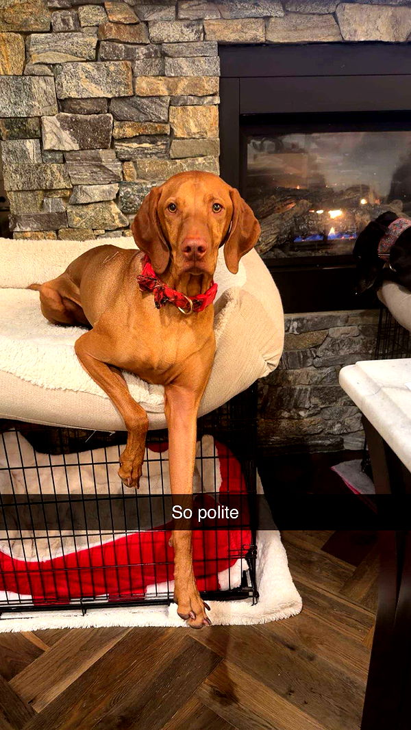 kalogeraseliana image ~ Altpins