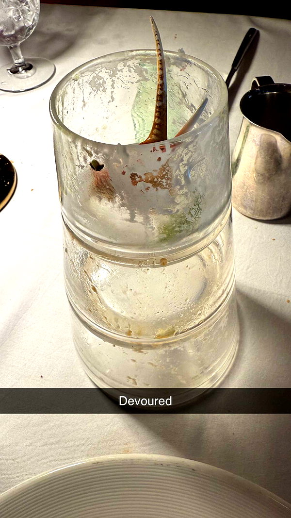 kalogerassunday snapchat image archive image