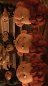 kalogerassunday Altpins Profile Picture