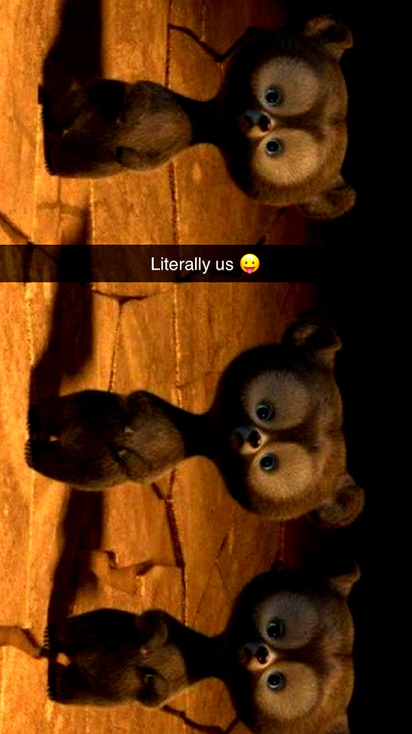 kalogerassunday snapchat image archive image