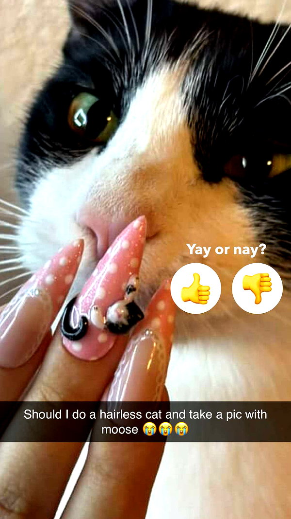 kalogerassunday snapchat image archive image
