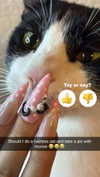 kalogerassunday Altpins Profile Picture