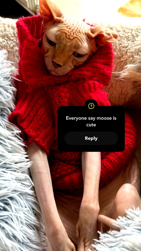 kalogerassunday snapchat image archive image