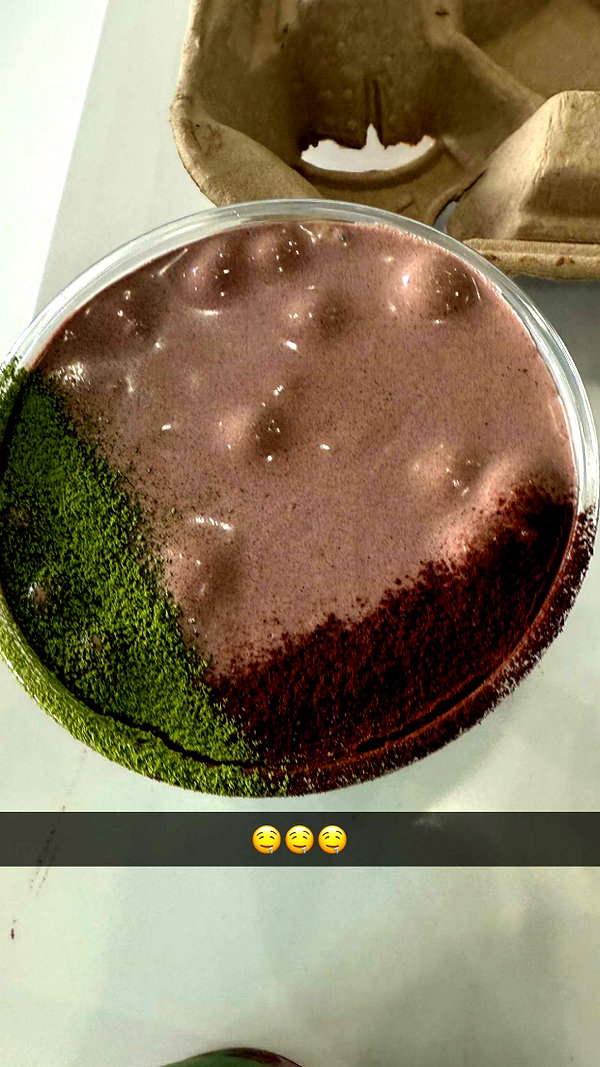 kalogerassunday snapchat image archive image