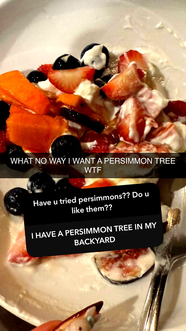 kalogerassunday snapchat image archive image