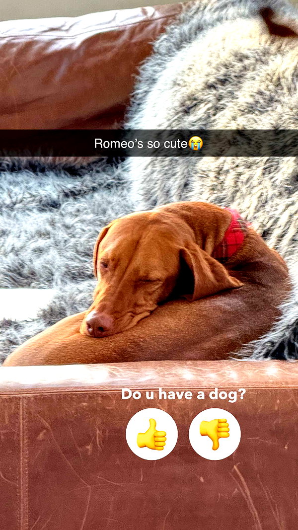 kalogerassunday snapchat image archive image