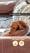kalogerassunday Altpins Profile Picture