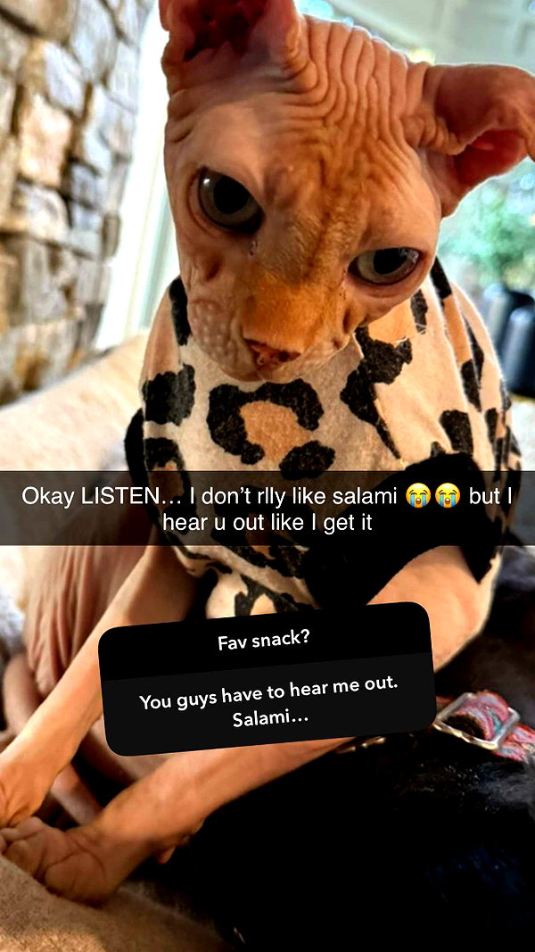 kalogerassunday snapchat image archive image