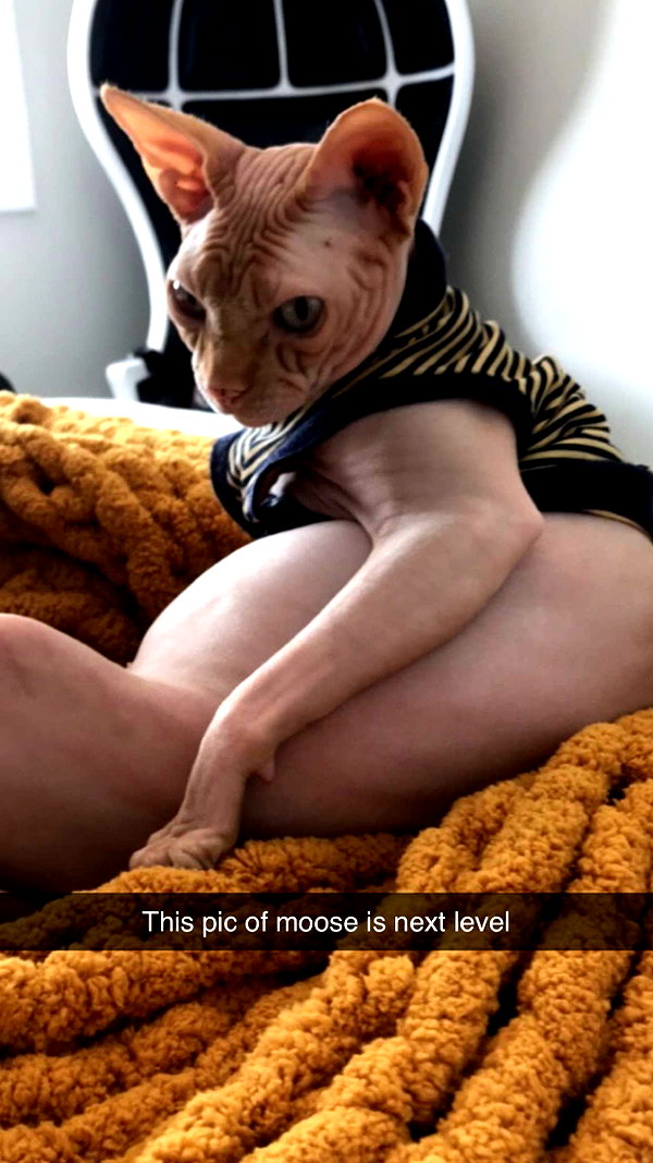 kalogerassunday snapchat image archive image