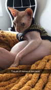 kalogerassunday Altpins Profile Picture