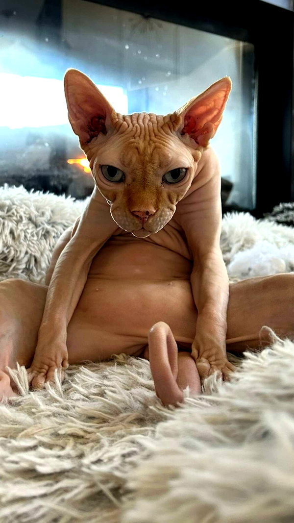 kalogerassunday snapchat image archive image