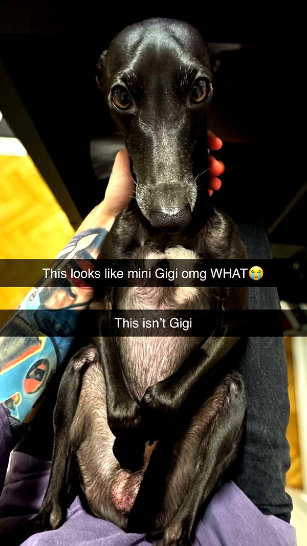 kalogerassunday snapchat image archive image