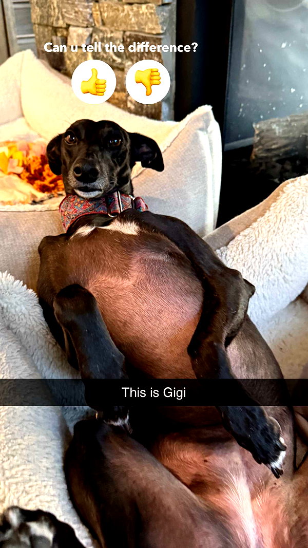 kalogerassunday snapchat image archive image
