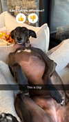 kalogerassunday Altpins Profile Picture